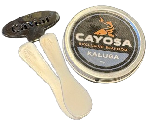 Nytårs forret nr. 4 2025