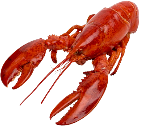 Canadisk Store kogte Nytårshummere 2025