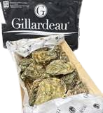 Nytårs østers Gillardeau 2025