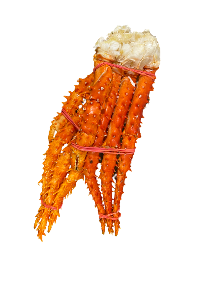 Kogte Nytårs Kingcrab 2025