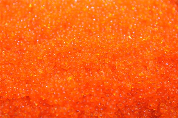 Nytårs ørred rogn 2024