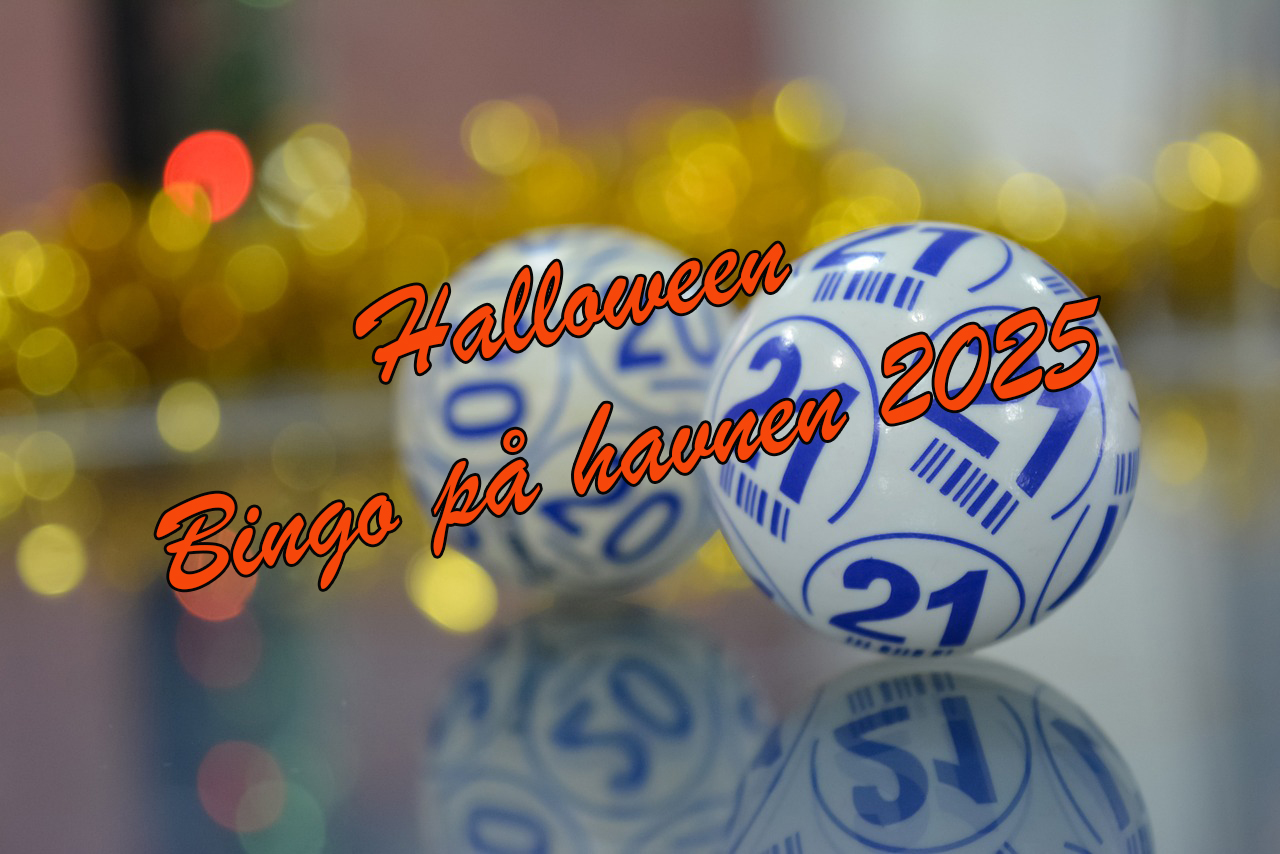 Halloween Bingo på haven 2025