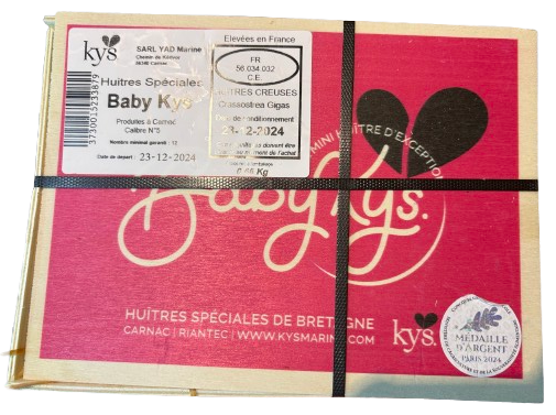 Nytårs østers Baby Kys 2025