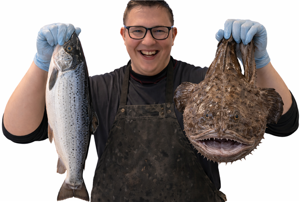 Fersk fisk sortiment